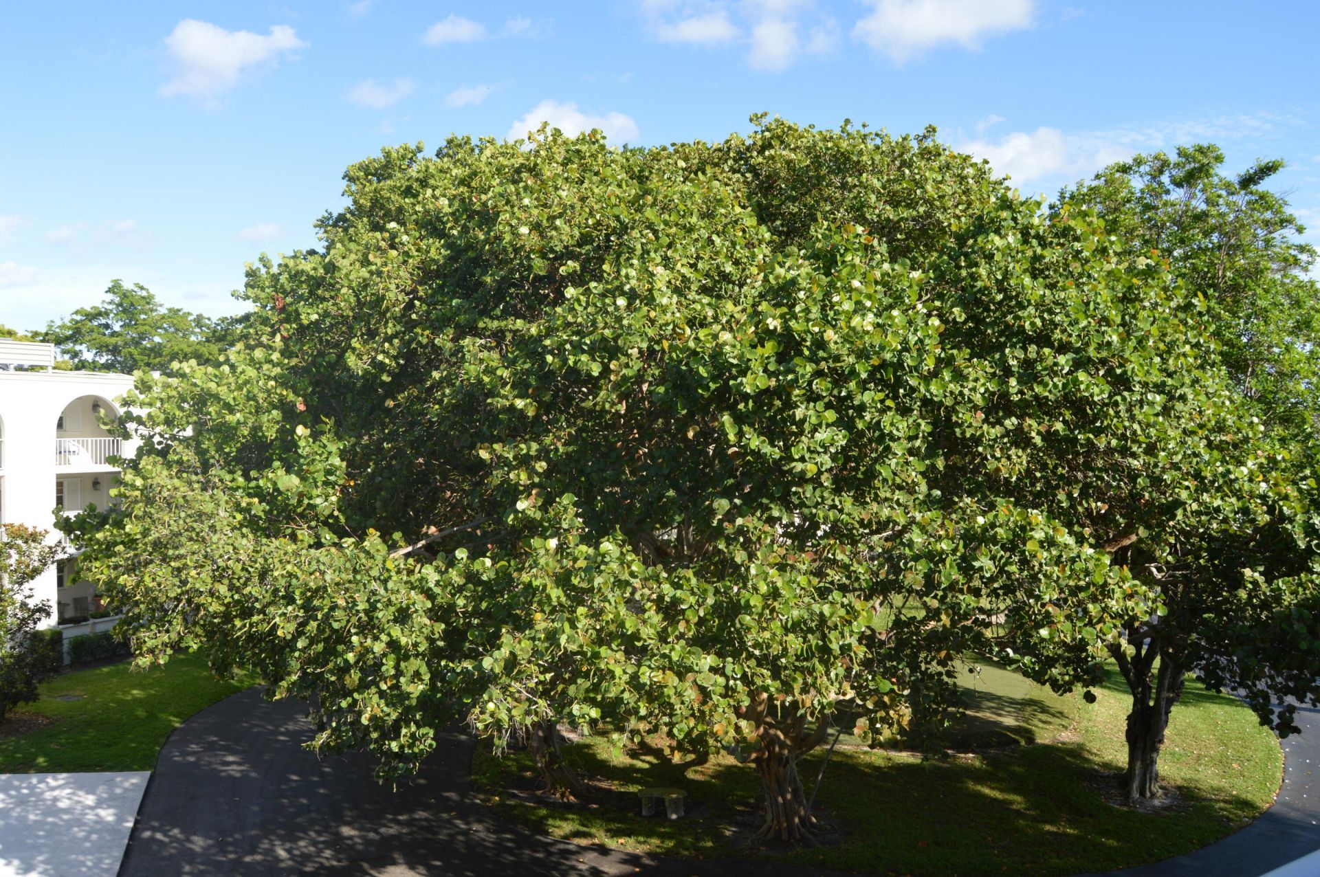 775 Jeffery Street, Unit 5-303, Boca Raton, FL 33487 Photo