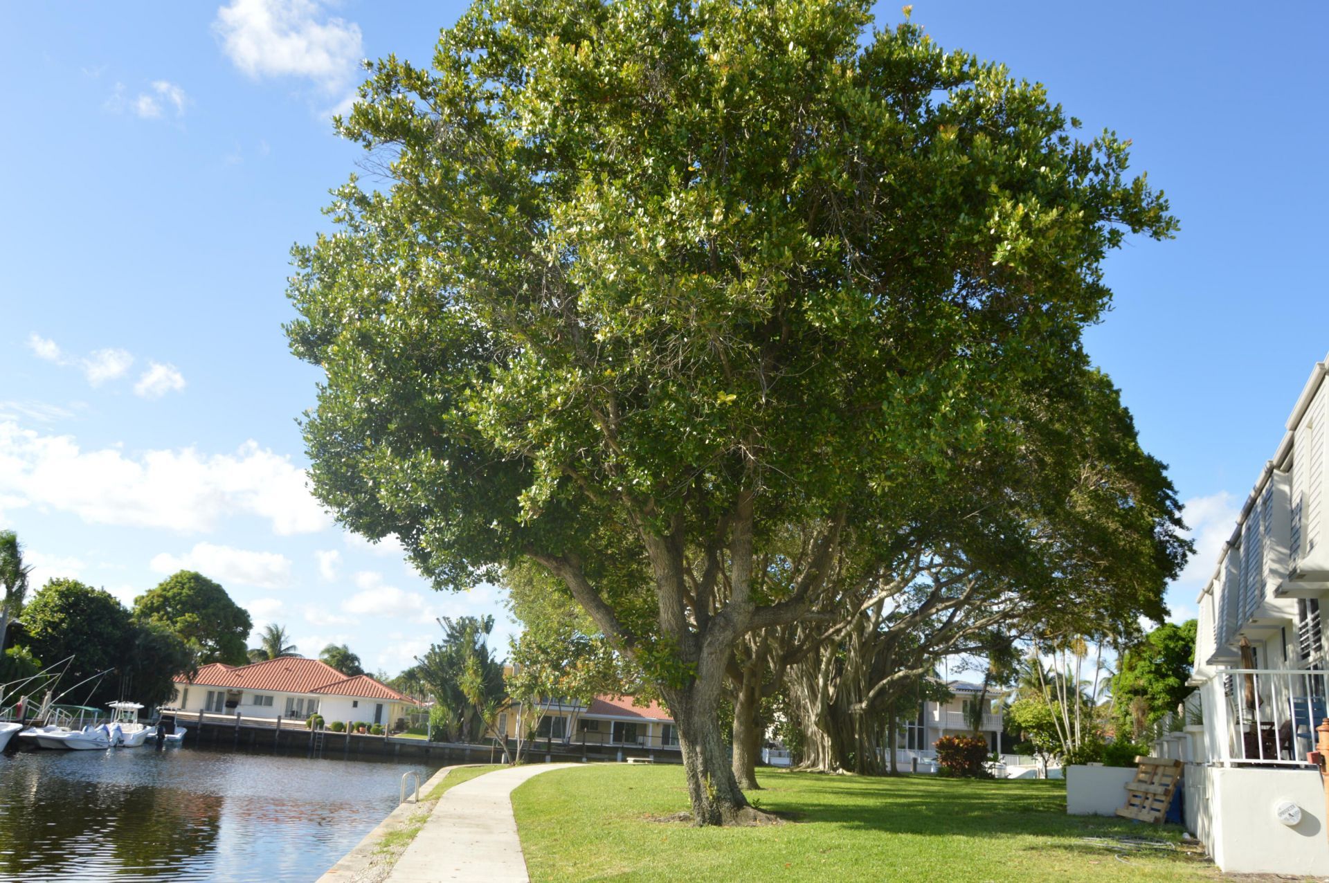 775 Jeffery Street, Unit 5-303, Boca Raton, FL 33487 Photo