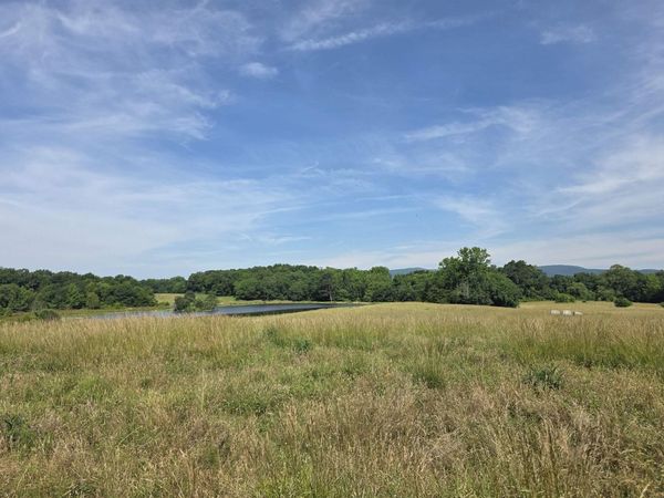 Unk Polk Road 149 , Hatfield, AR 71945