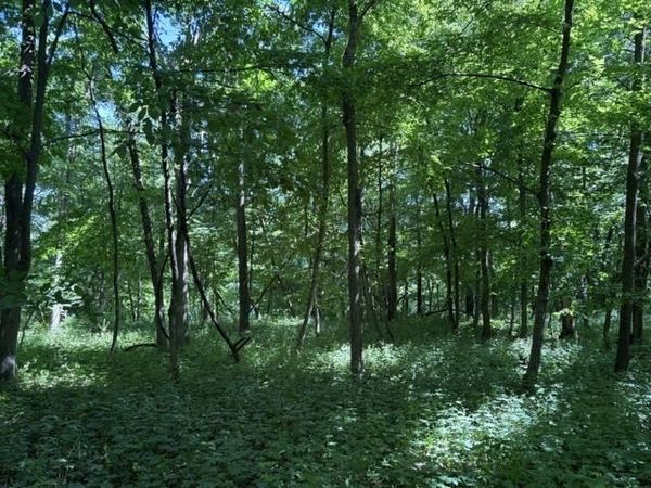 15 Navajo Court , Putnam, IL 61560