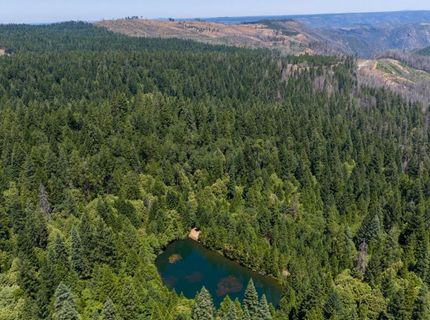 10075 White Fir Rd, Georgetown, CA 95634 Photo