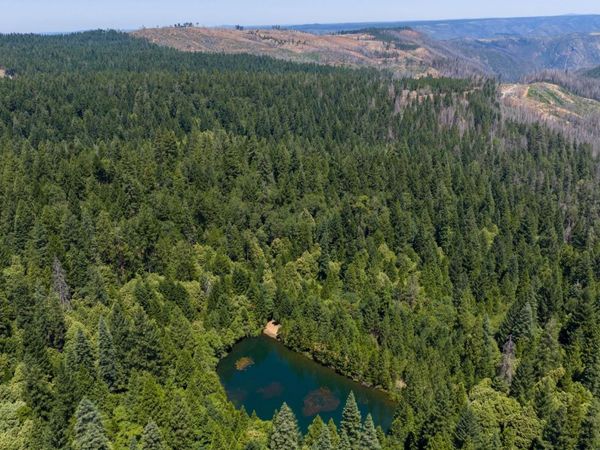 10075 White Fir Rd, Georgetown, CA 95634