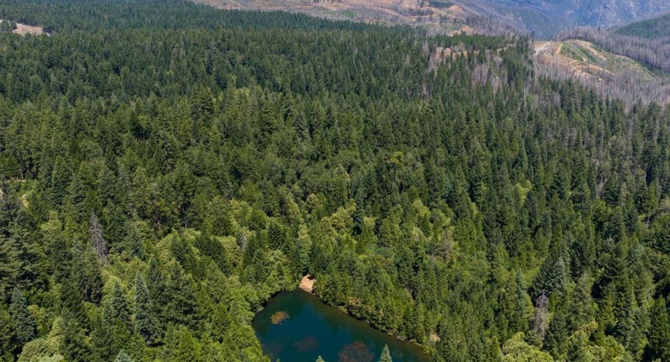 10075 White Fir Rd, Georgetown, CA 95634 Photo