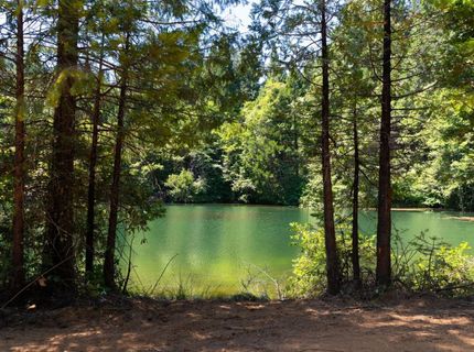 10075 White Fir Rd, Georgetown, CA 95634 Photo