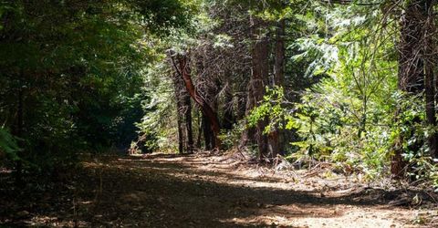 10075 White Fir Rd, Georgetown, CA 95634 Photo