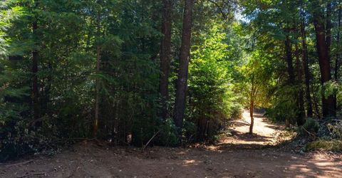 10075 White Fir Rd, Georgetown, CA 95634 Photo