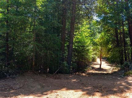 10075 White Fir Rd, Georgetown, CA 95634 Photo