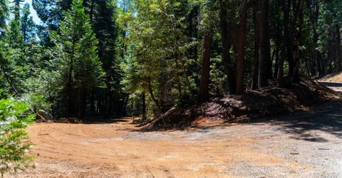 10075 White Fir Rd, Georgetown, CA 95634 Photo