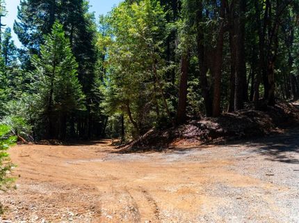 10075 White Fir Rd, Georgetown, CA 95634 Photo