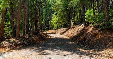 10075 White Fir Rd, Georgetown, CA 95634 Photo