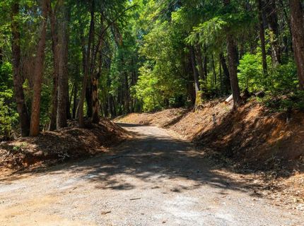 10075 White Fir Rd, Georgetown, CA 95634 Photo