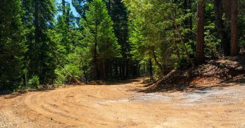 10075 White Fir Rd, Georgetown, CA 95634 Photo