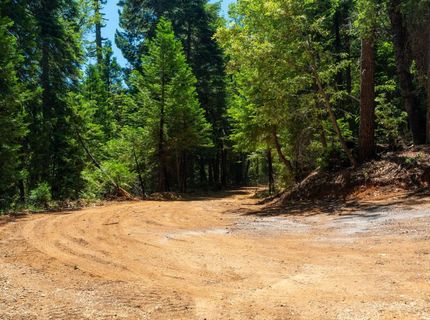 10075 White Fir Rd, Georgetown, CA 95634 Photo
