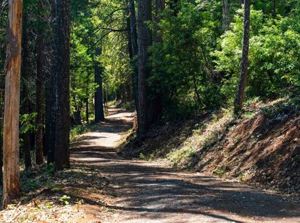 10075 White Fir Rd, Georgetown, CA 95634 Photo