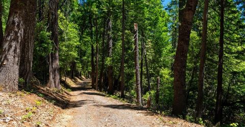 10075 White Fir Rd, Georgetown, CA 95634 Photo