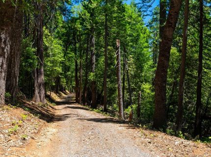 10075 White Fir Rd, Georgetown, CA 95634 Photo