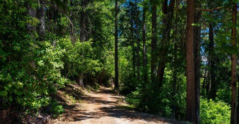 10075 White Fir Rd, Georgetown, CA 95634 Photo