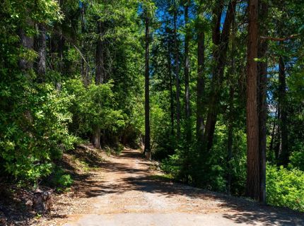 10075 White Fir Rd, Georgetown, CA 95634 Photo