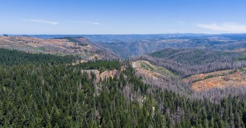 10075 White Fir Rd, Georgetown, CA 95634 Photo