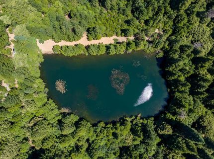 10075 White Fir Rd, Georgetown, CA 95634 Photo