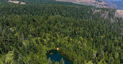 10075 White Fir Rd, Georgetown, CA 95634 Photo