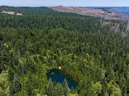 10075 White Fir Rd, Georgetown, CA 95634 Photo