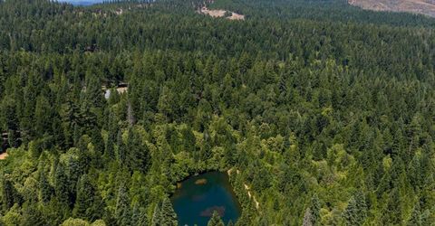 10075 White Fir Rd, Georgetown, CA 95634 Photo