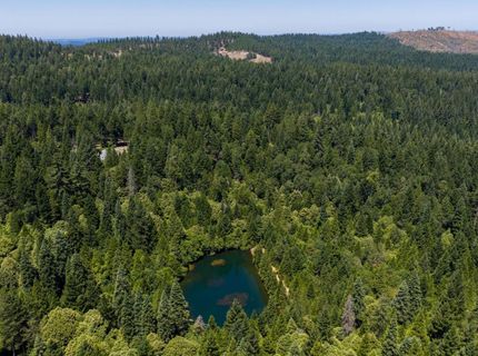 10075 White Fir Rd, Georgetown, CA 95634 Photo