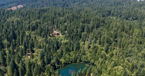 10075 White Fir Rd, Georgetown, CA 95634 Photo
