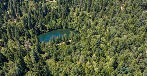 10075 White Fir Rd, Georgetown, CA 95634 Photo