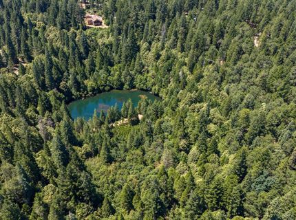 10075 White Fir Rd, Georgetown, CA 95634 Photo