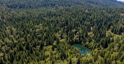 10075 White Fir Rd, Georgetown, CA 95634 Photo