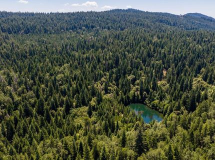 10075 White Fir Rd, Georgetown, CA 95634 Photo