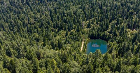 10075 White Fir Rd, Georgetown, CA 95634 Photo
