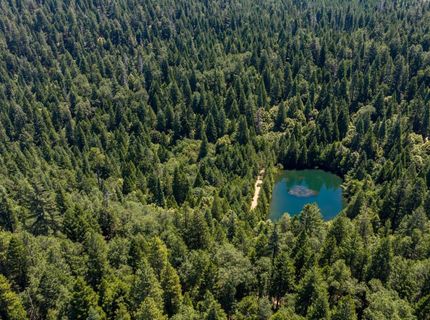 10075 White Fir Rd, Georgetown, CA 95634 Photo