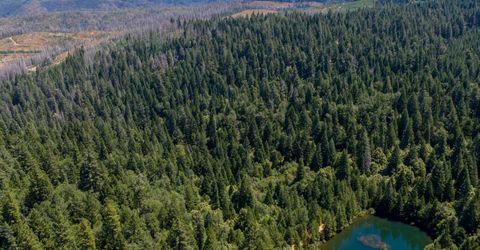 10075 White Fir Rd, Georgetown, CA 95634 Photo