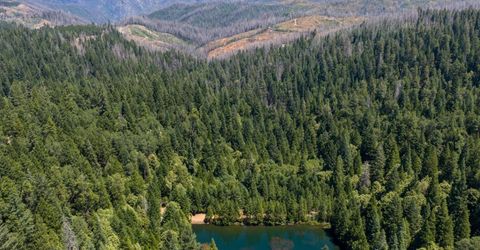 10075 White Fir Rd, Georgetown, CA 95634 Photo