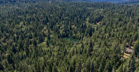 10075 White Fir Rd, Georgetown, CA 95634 Photo