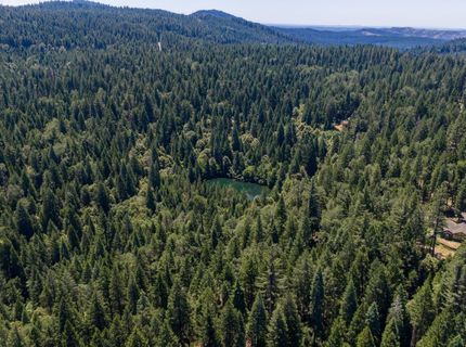 10075 White Fir Rd, Georgetown, CA 95634 Photo