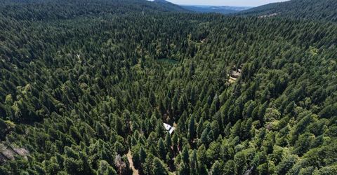 10075 White Fir Rd, Georgetown, CA 95634 Photo