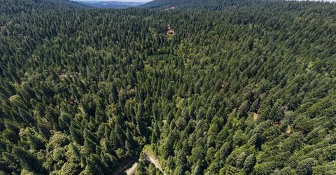 10075 White Fir Rd, Georgetown, CA 95634 Photo
