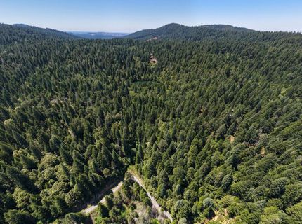 10075 White Fir Rd, Georgetown, CA 95634 Photo