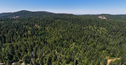 10075 White Fir Rd, Georgetown, CA 95634 Photo