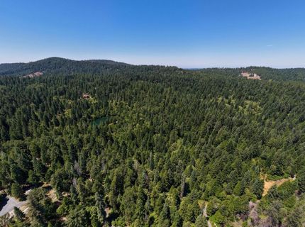 10075 White Fir Rd, Georgetown, CA 95634 Photo