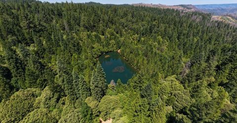 10075 White Fir Rd, Georgetown, CA 95634 Photo
