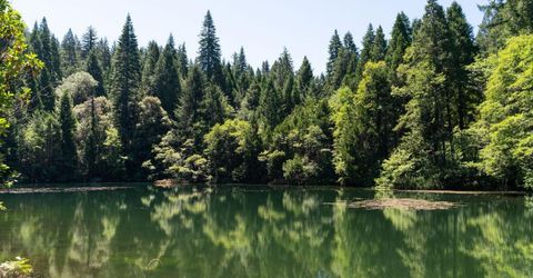 10075 White Fir Rd, Georgetown, CA 95634 Photo