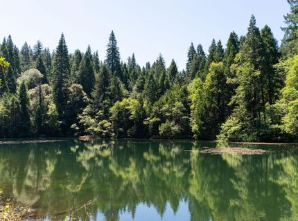 10075 White Fir Rd, Georgetown, CA 95634 Photo