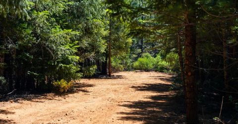10075 White Fir Rd, Georgetown, CA 95634 Photo