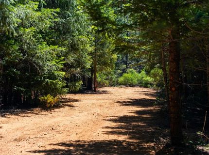 10075 White Fir Rd, Georgetown, CA 95634 Photo
