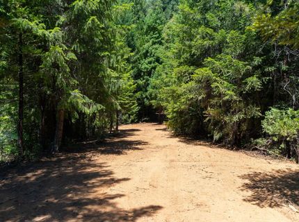 10075 White Fir Rd, Georgetown, CA 95634 Photo